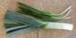 Leeks